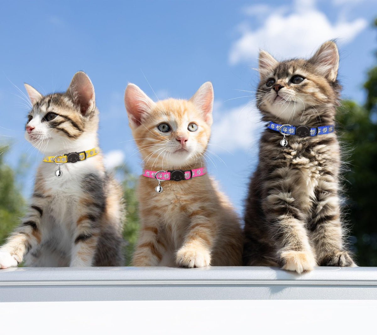 16 PCS Breakaway Reflective Nylon Cat Collars with Bells L30214
