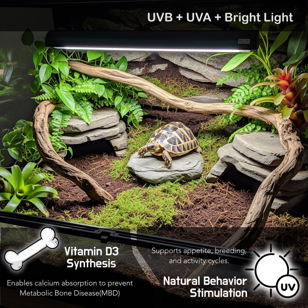 10.0 UVB 8W Fluorescent Lamp and Fixture Kit R5941